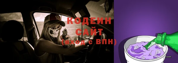 крисы Абаза