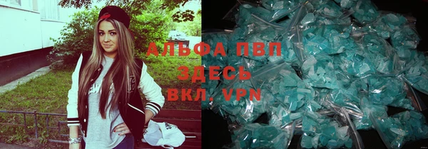 крисы Абаза