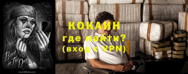 крисы Абаза