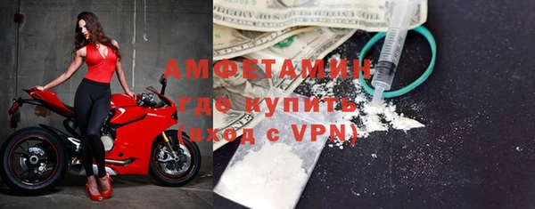 крисы Абаза