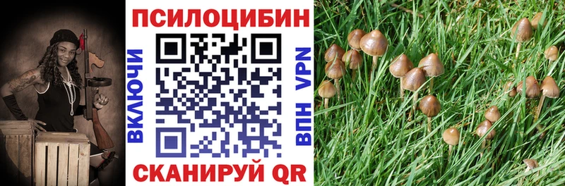 Псилоцибиновые грибы Cubensis  Дятьково 