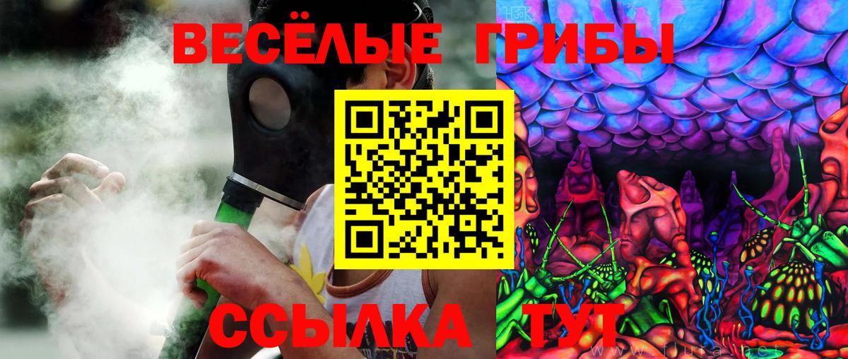 Дятьково  Галлюциногенные грибы Psilocybine cubensis  Вход с VPN 